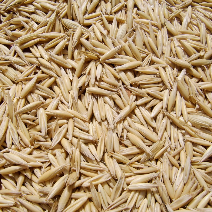 Oat